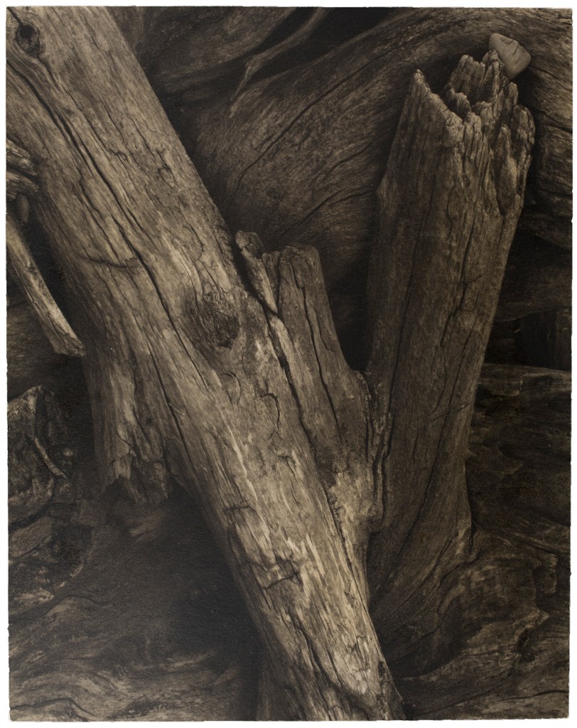 Maine 1928 Driftwood